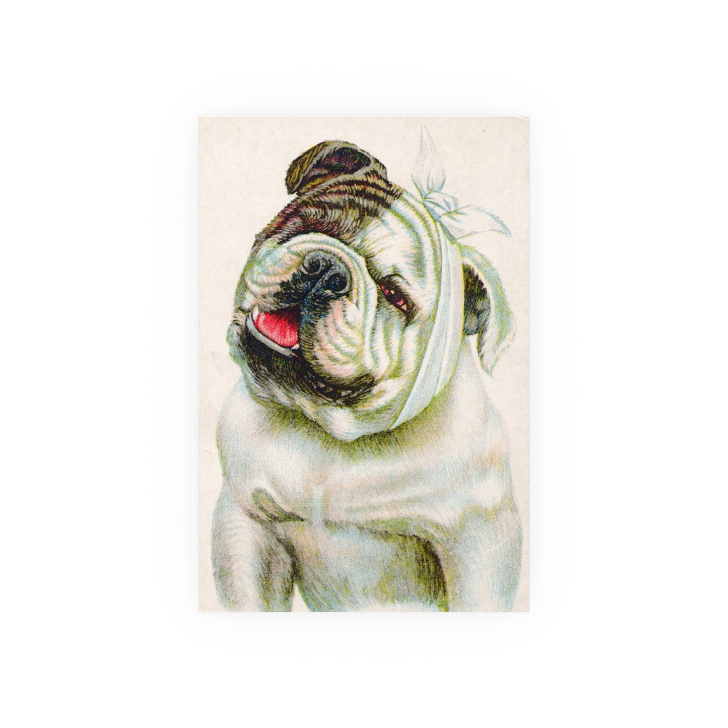 Poster - Dog with a Toothache Dental Trade Card