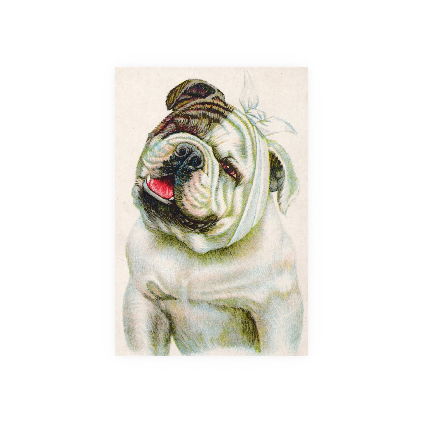 Poster - Dog with a Toothache Dental Trade Card