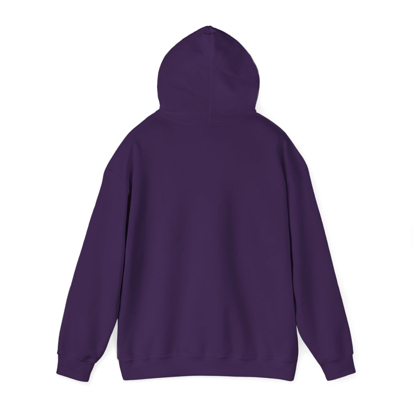 National Museum of Dentistry Baltimore Colors Unisex Hoodie
