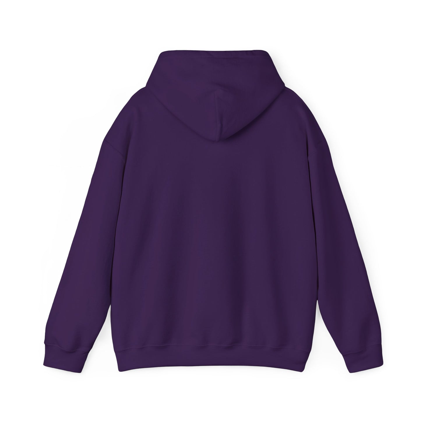 National Museum of Dentistry Baltimore Colors Unisex Hoodie