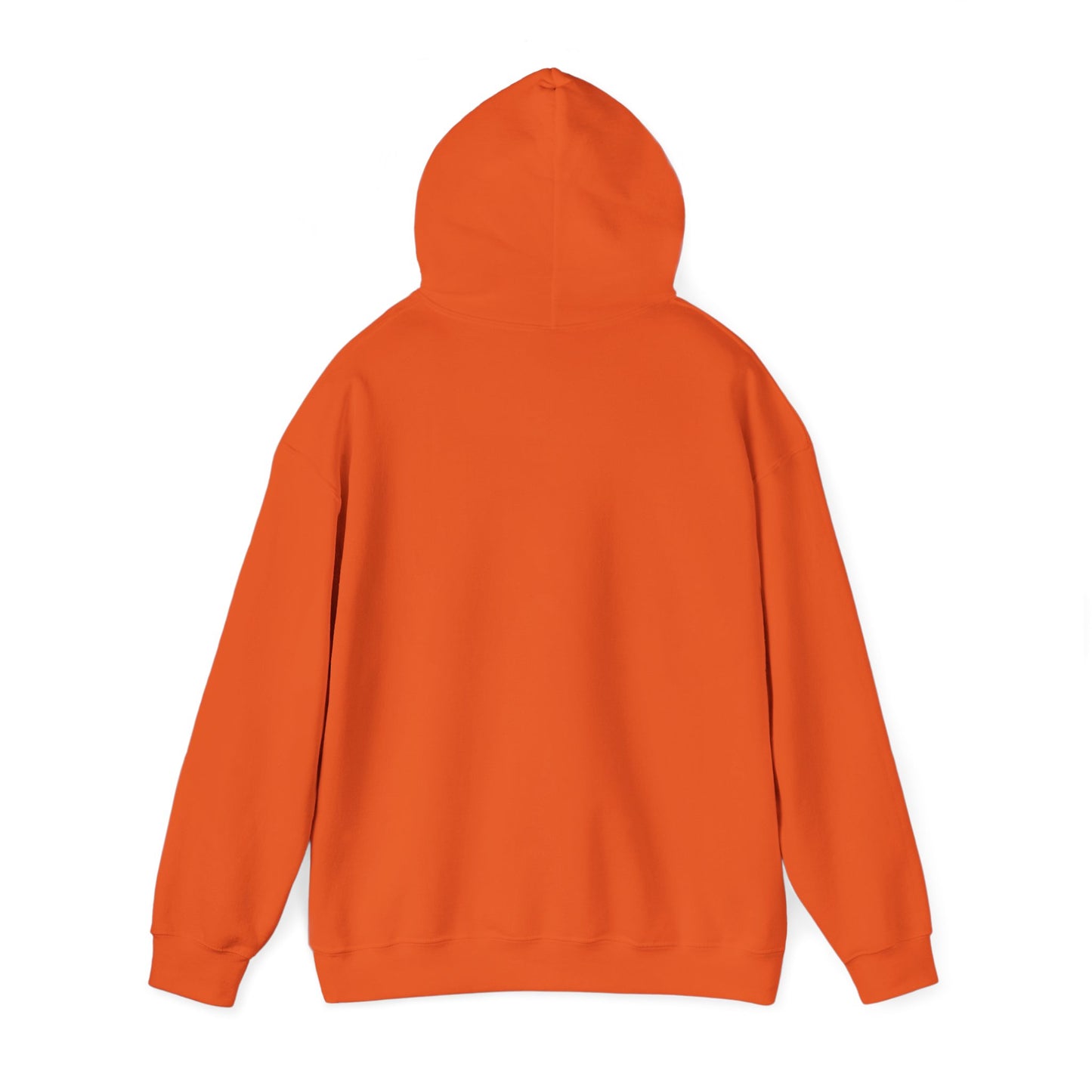 National Museum of Dentistry Baltimore Colors Unisex Hoodie