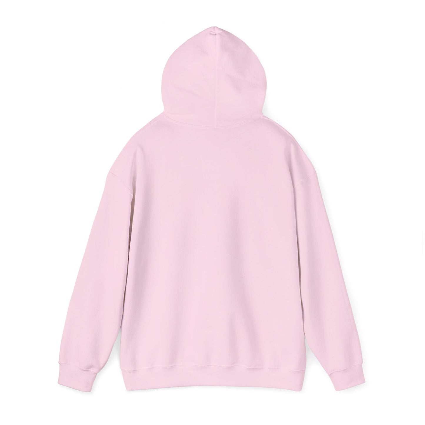 National Museum of Dentistry Light Colors Unisex Hoodie