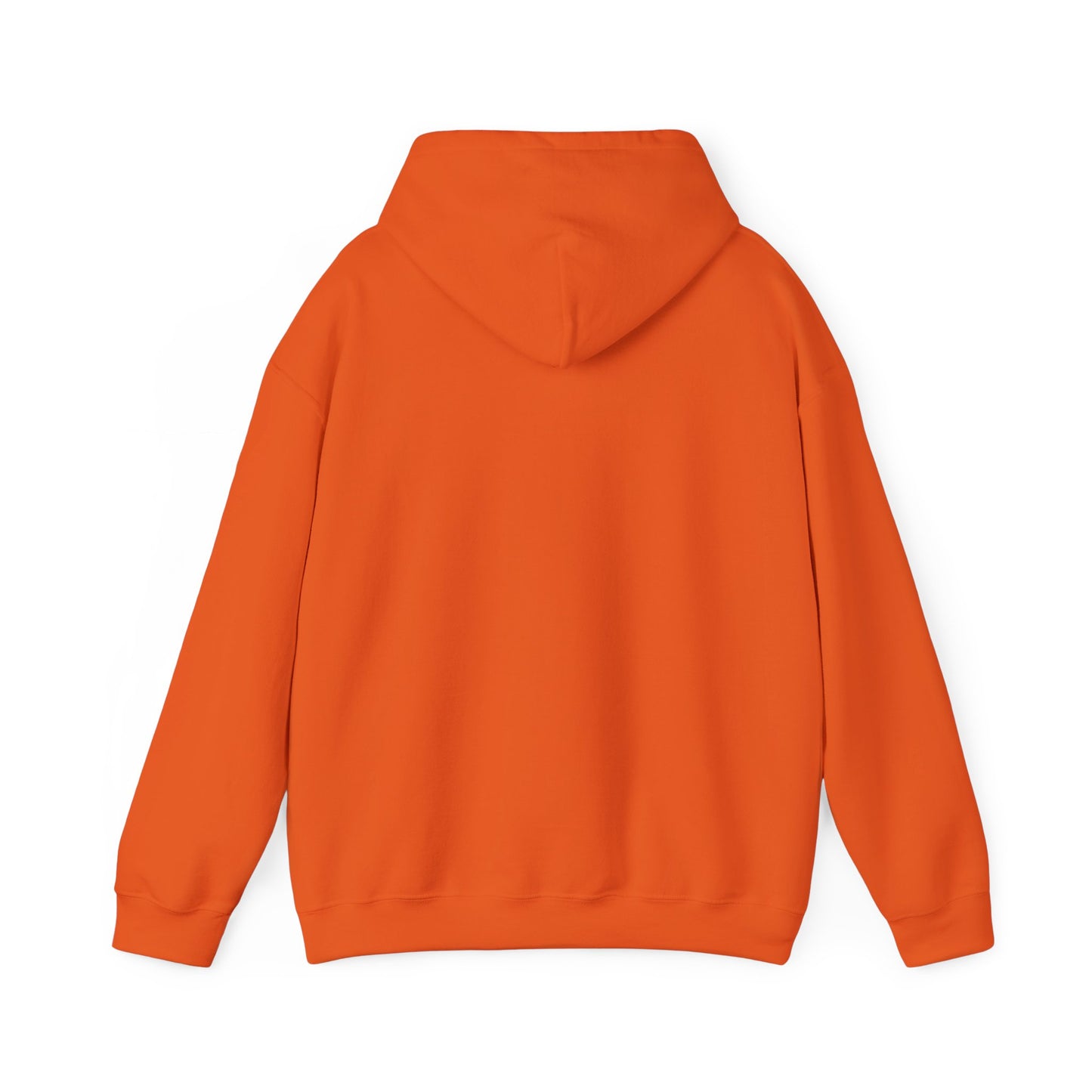 National Museum of Dentistry Baltimore Colors Unisex Hoodie