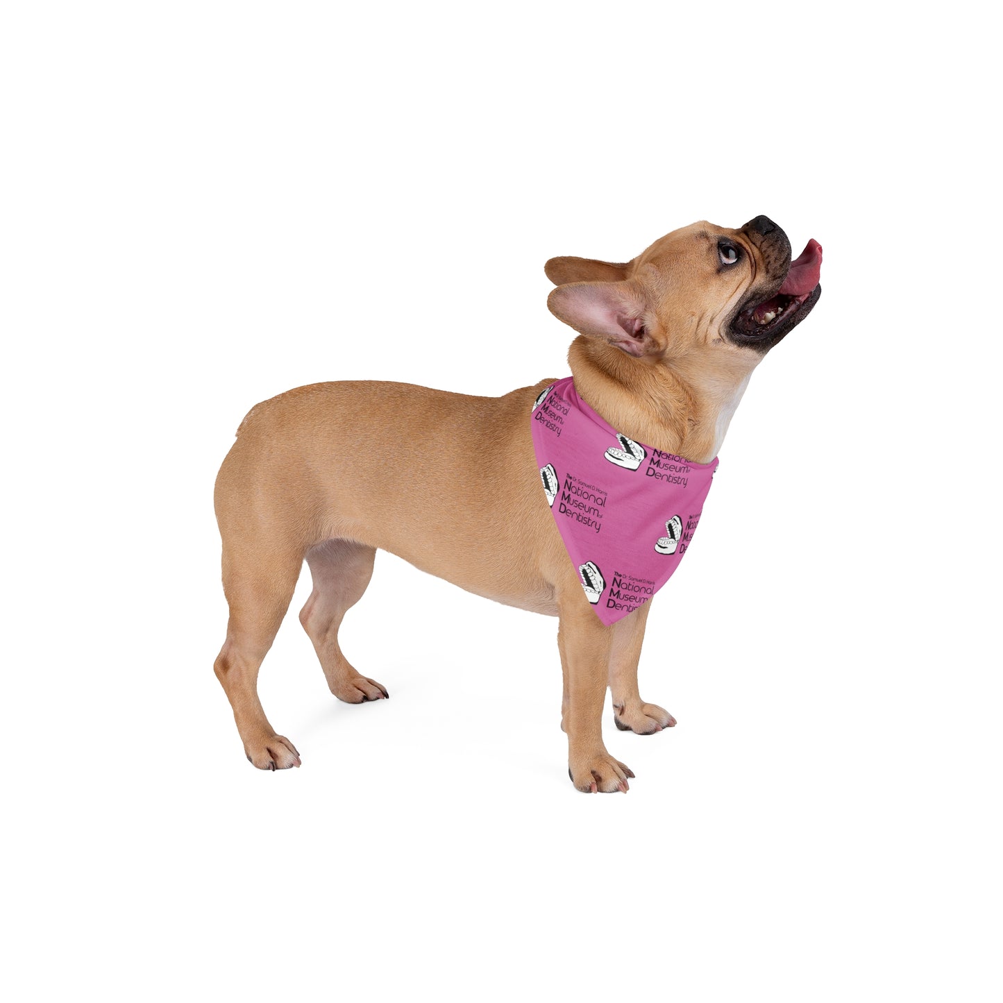 National Museum of Dentistry Pet Bandana - Pink