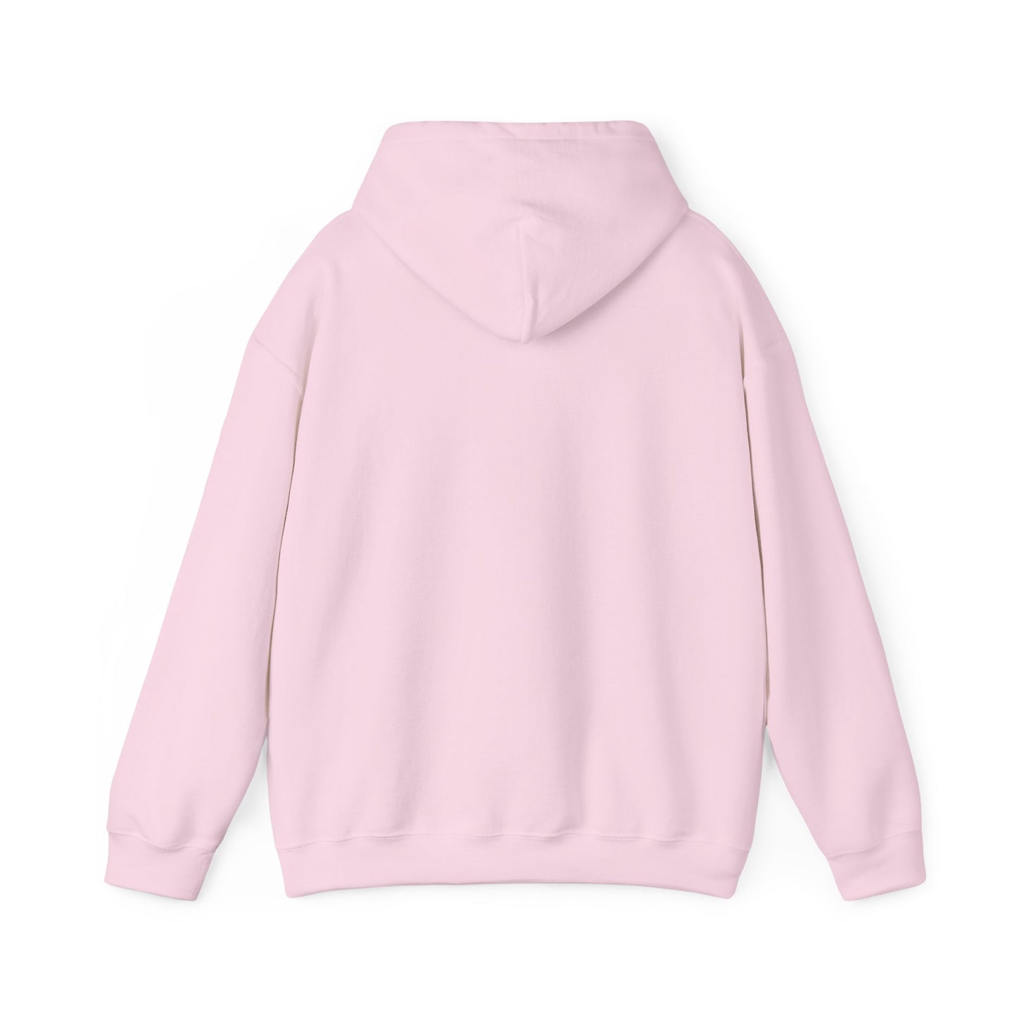 National Museum of Dentistry Light Colors Unisex Hoodie