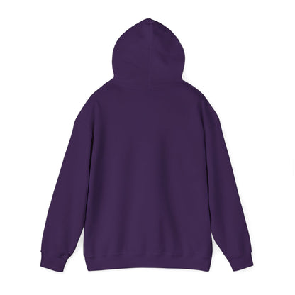 National Museum of Dentistry Baltimore Colors Unisex Hoodie