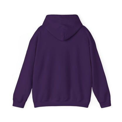 National Museum of Dentistry Baltimore Colors Unisex Hoodie