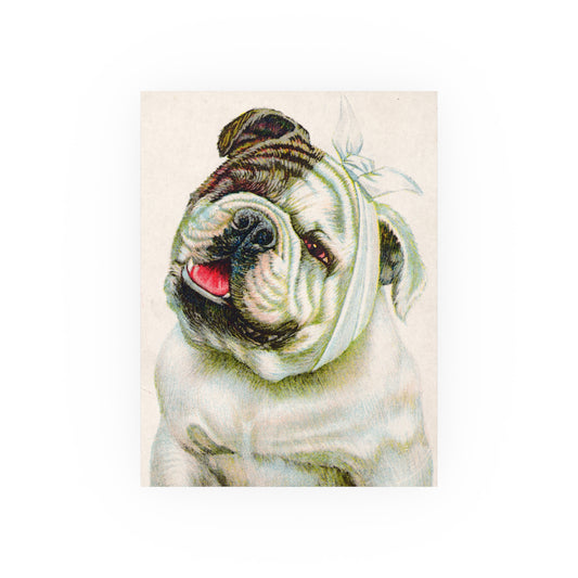 Poster - Dog with a Toothache Dental Trade Card